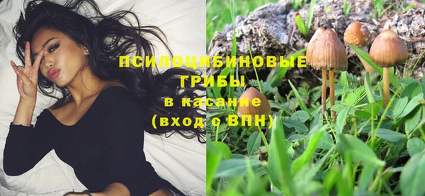 трава Касимов