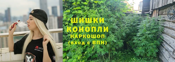 скорость Каменногорск