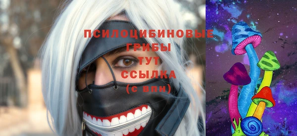 Альфа ПВП Карталы