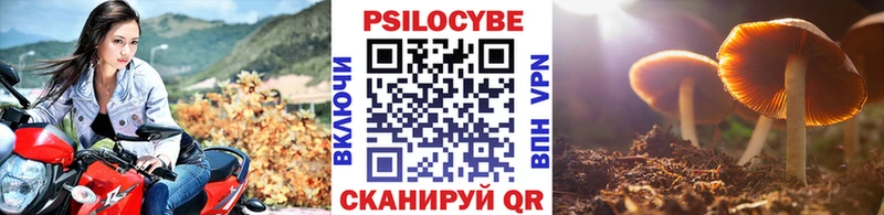 Галлюциногенные грибы прущие грибы  Купить закладки  Плавск 